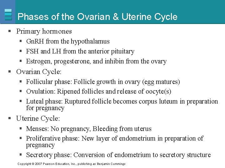 Phases of the Ovarian & Uterine Cycle § Primary hormones § Gn. RH from