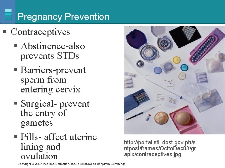 Pregnancy Prevention § Contraceptives § Abstinence-also prevents STDs § Barriers-prevent sperm from entering cervix