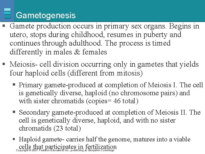 Gametogenesis § Gamete production occurs in primary sex organs. Begins in utero, stops during