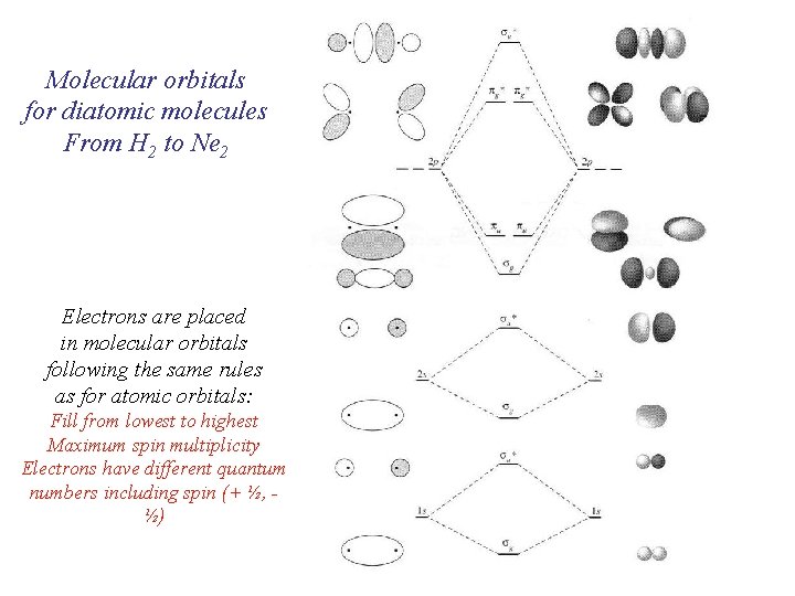 Molecular orbitals for diatomic molecules From H 2 to Ne 2 Electrons are placed