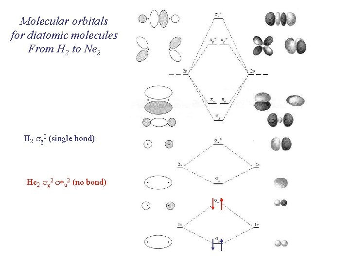 Molecular orbitals for diatomic molecules From H 2 to Ne 2 H 2 sg