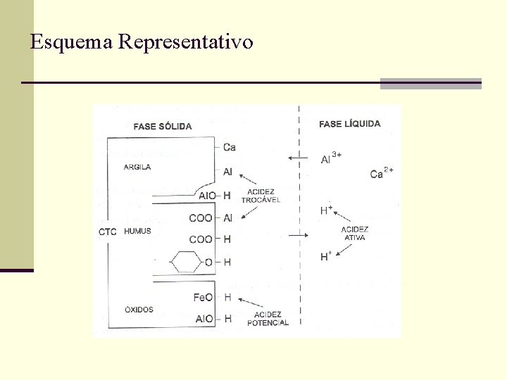 Esquema Representativo 