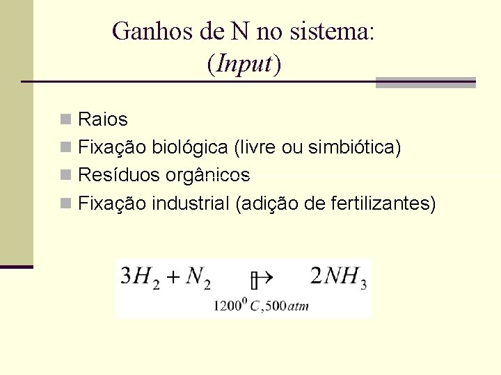 Ganhos de N no sistema: (Input) n Raios n Fixação biológica (livre ou simbiótica)