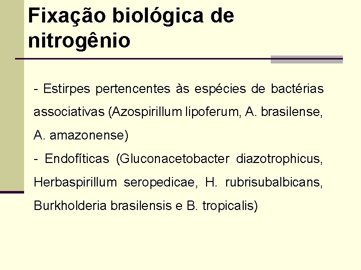 Fixação biológica de nitrogênio - Estirpes pertencentes às espécies de bactérias associativas (Azospirillum lipoferum,