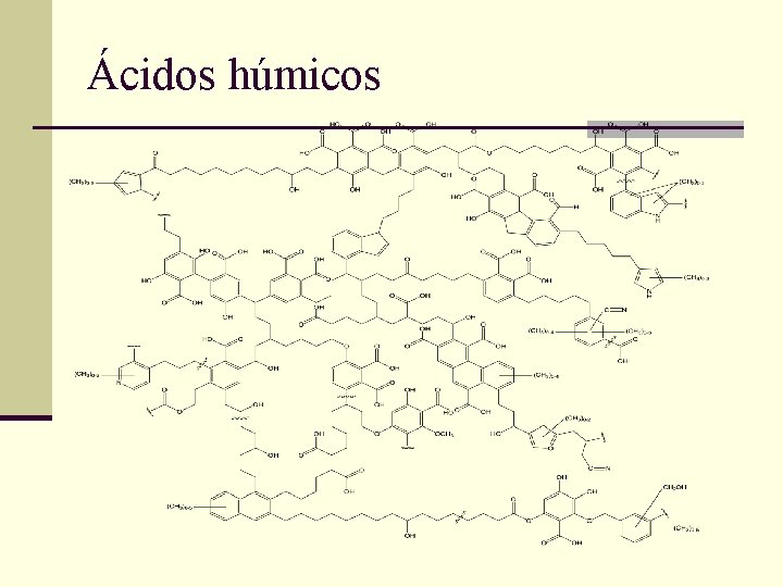 Ácidos húmicos 