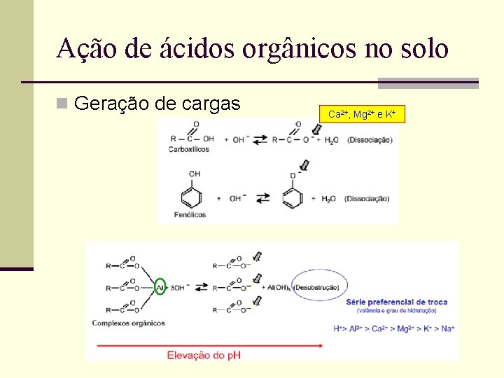 Ação de ácidos orgânicos no solo n Geração de cargas Ca 2+, Mg 2+