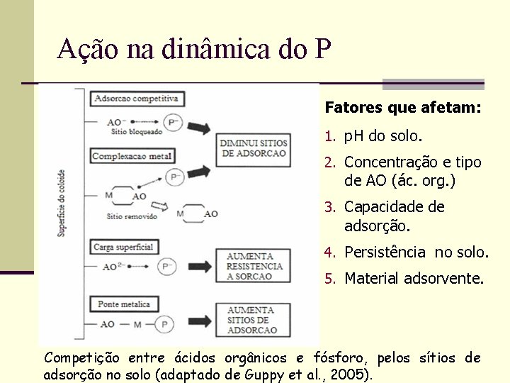 Ação na dinâmica do P Fatores que afetam: 1. p. H do solo. 2.