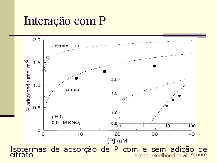 Interação com P Isotermas de adsorção de P com e sem adição de citrato