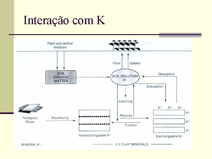 Interação com K 