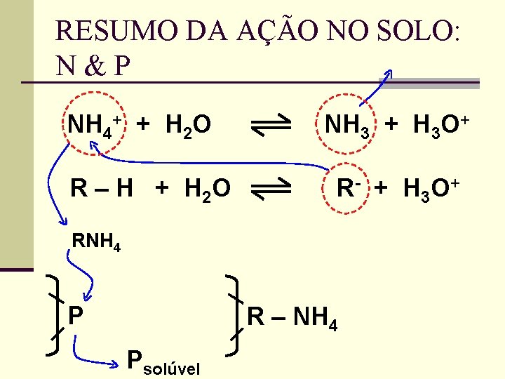 RESUMO DA AÇÃO NO SOLO: N&P NH 4+ + H 2 O R –