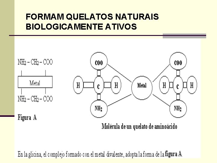 FORMAM QUELATOS NATURAIS BIOLOGICAMENTE ATIVOS 