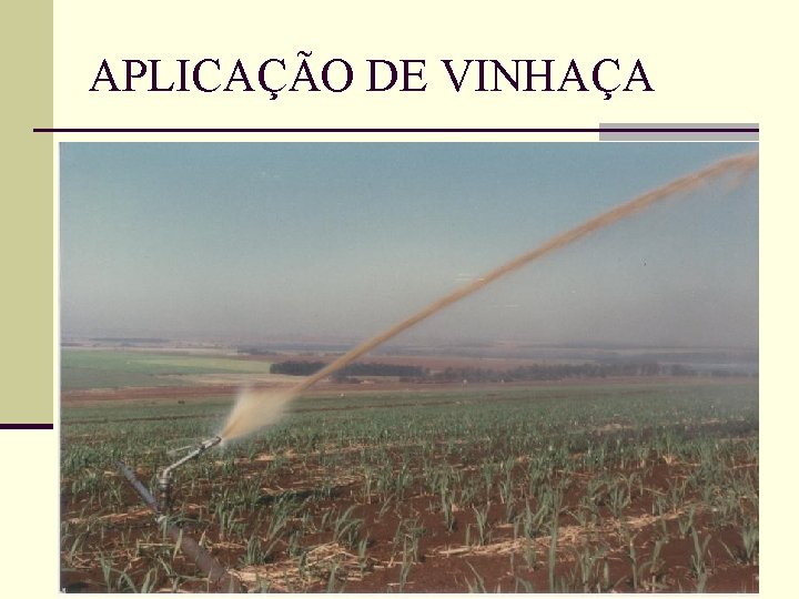 APLICAÇÃO DE VINHAÇA 