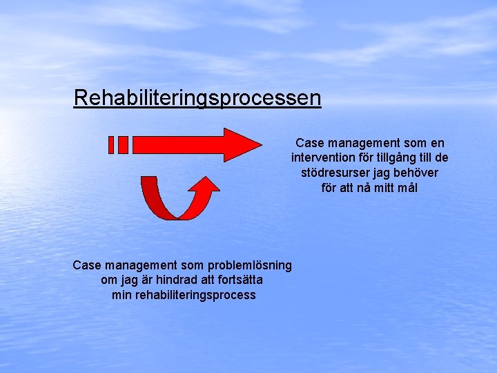 Rehabiliteringsprocessen Case management som en intervention för tillgång till de stödresurser jag behöver för