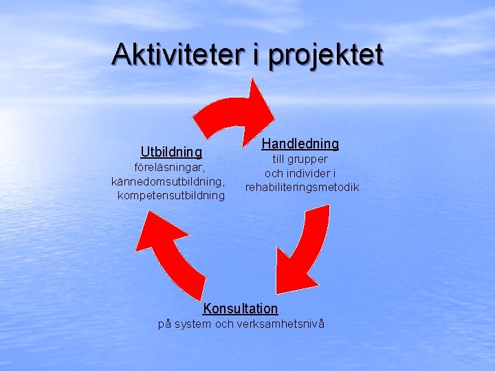 Aktiviteter i projektet Handledning Utbildning föreläsningar, kännedomsutbildning, kompetensutbildning till grupper och individer i rehabiliteringsmetodik