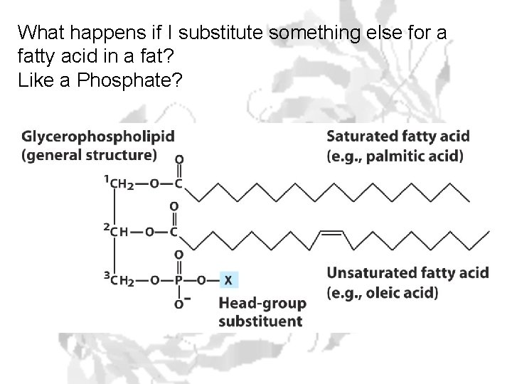 What happens if I substitute something else for a fatty acid in a fat?