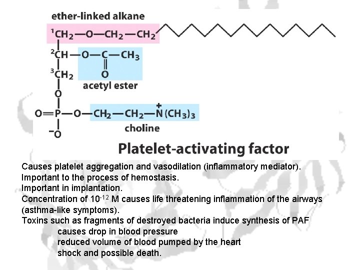 Causes platelet aggregation and vasodilation (inflammatory mediator). Important to the process of hemostasis. Important