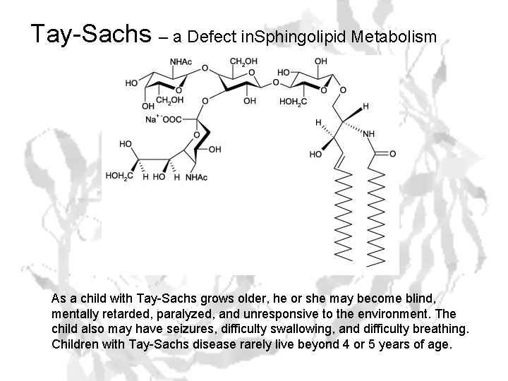 Tay-Sachs – a Defect in. Sphingolipid Metabolism As a child with Tay-Sachs grows older,