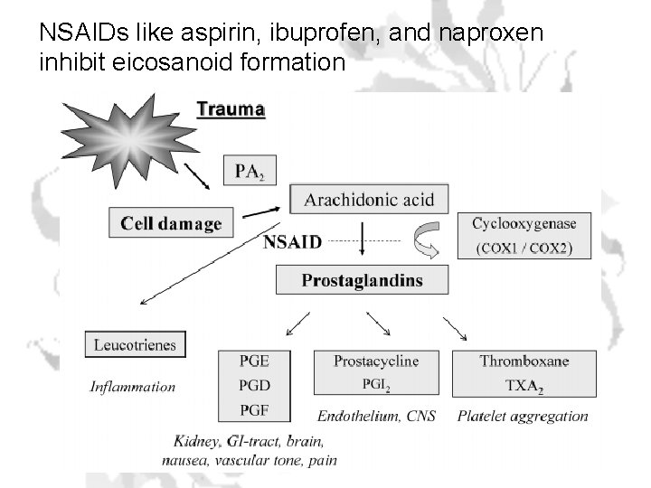 NSAIDs like aspirin, ibuprofen, and naproxen inhibit eicosanoid formation 