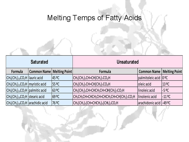 Melting Temps of Fatty Acids 