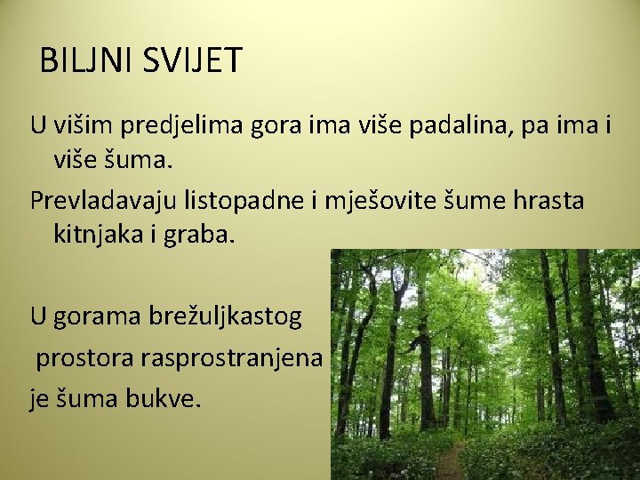 BILJNI SVIJET U višim predjelima gora ima više padalina, pa ima i više šuma.