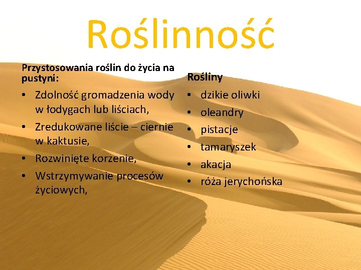 Roślinność Przystosowania roślin do życia na pustyni: Rośliny • Zdolność gromadzenia wody w łodygach