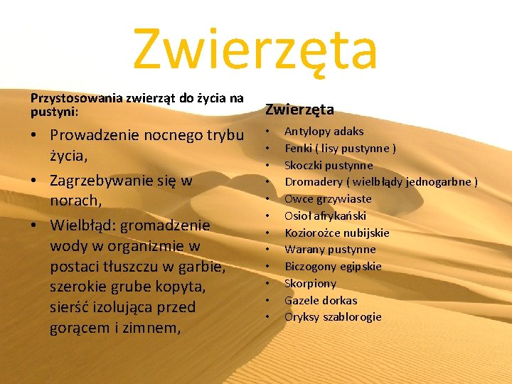 Zwierzęta Przystosowania zwierząt do życia na pustyni: • Prowadzenie nocnego trybu życia, • Zagrzebywanie