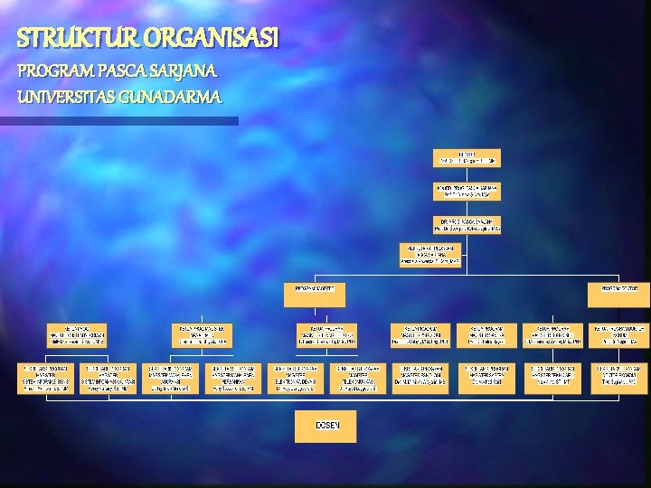 STRUKTUR ORGANISASI PROGRAM PASCA SARJANA UNIVERSITAS GUNADARMA 