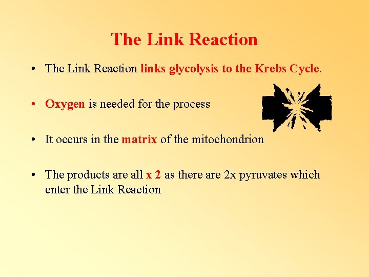 The Link Reaction • The Link Reaction links glycolysis to the Krebs Cycle. • The Link Reaction • The Link Reaction links glycolysis to the Krebs Cycle. •