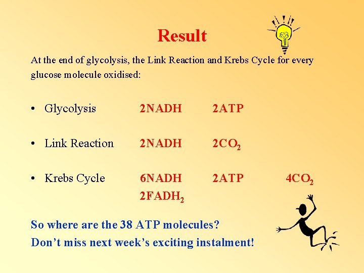 Result At the end of glycolysis, the Link Reaction and Krebs Cycle for every Result At the end of glycolysis, the Link Reaction and Krebs Cycle for every