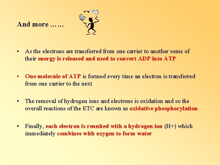 And more …… • As the electrons are transferred from one carrier to another And more …… • As the electrons are transferred from one carrier to another
