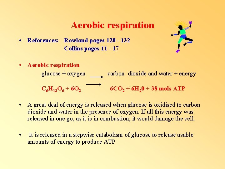 Aerobic respiration • References: Rowland pages 120 - 132 Collins pages 11 - 17 Aerobic respiration • References: Rowland pages 120 - 132 Collins pages 11 - 17