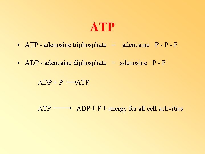ATP • ATP - adenosine triphosphate = adenosine P - P • ADP - ATP • ATP - adenosine triphosphate = adenosine P - P • ADP -