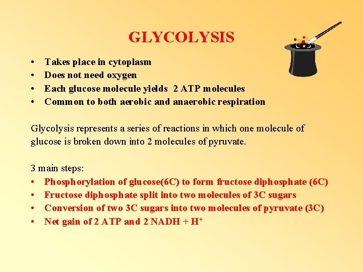 GLYCOLYSIS • • Takes place in cytoplasm Does not need oxygen Each glucose molecule GLYCOLYSIS • • Takes place in cytoplasm Does not need oxygen Each glucose molecule