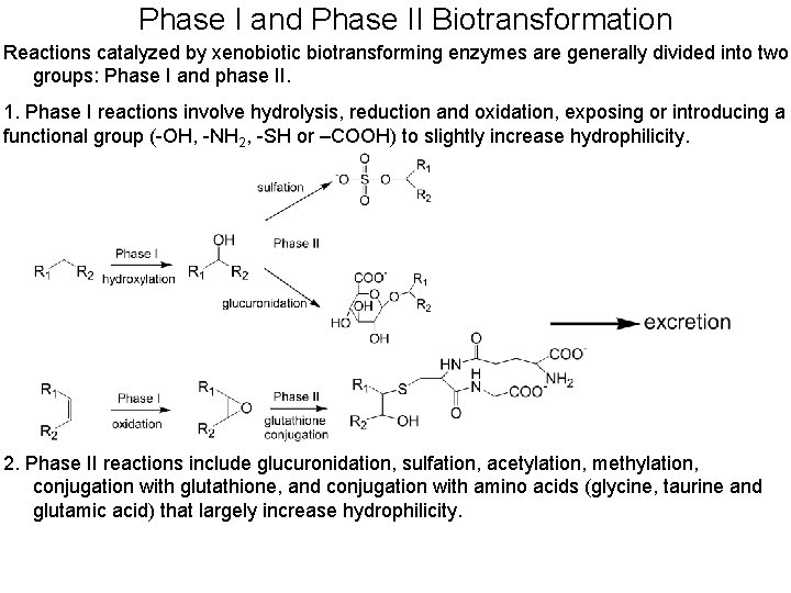 Phase I and Phase II Biotransformation Reactions catalyzed by xenobiotic biotransforming enzymes are generally
