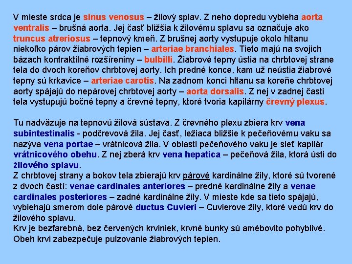 V mieste srdca je sinus venosus – žilový splav. Z neho dopredu vybieha aorta