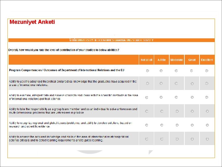 Mezuniyet Anketi 4 4 4 