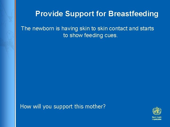 Provide Support for Breastfeeding The newborn is having skin to skin contact and starts