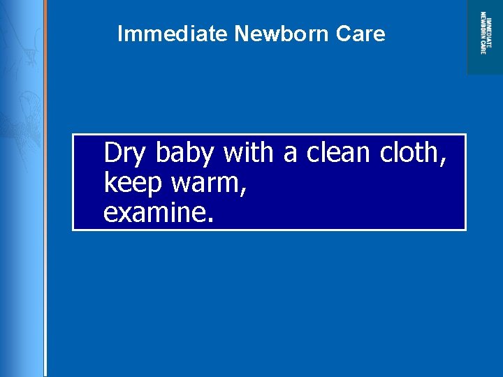 Immediate Newborn Care Dry baby with a clean cloth, keep warm, examine. 