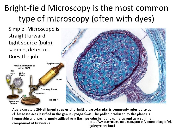 Bright-field Microscopy is the most common type of microscopy (often with dyes) Simple. Microscope