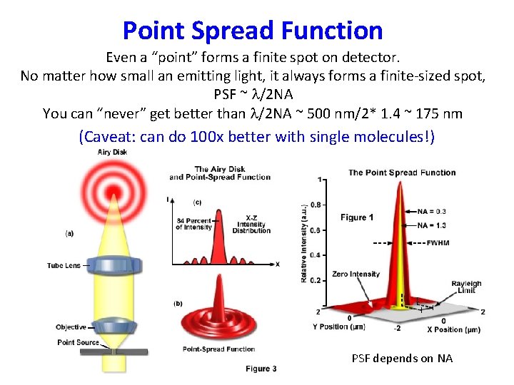 Point Spread Function Even a “point” forms a finite spot on detector. No matter