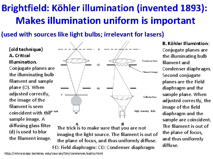 Brightfield: Köhler illumination (invented 1893): Makes illumination uniform is important (used with sources like