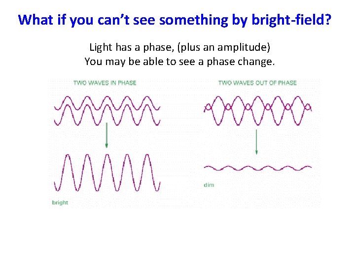 What if you can’t see something by bright-field? Light has a phase, (plus an