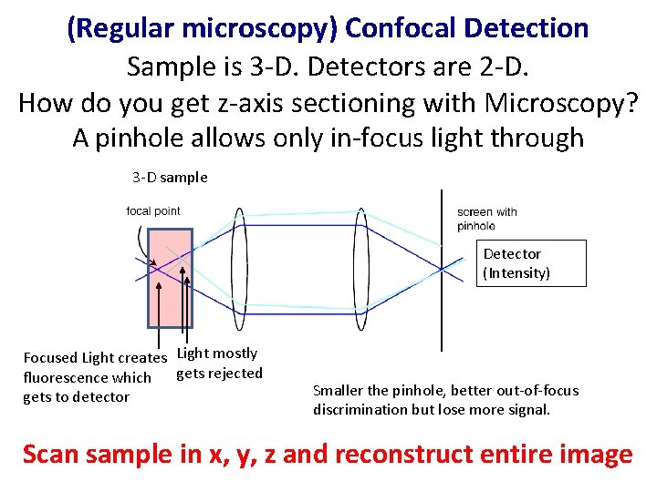 (Regular microscopy) Confocal Detection Sample is 3 -D. Detectors are 2 -D. How do