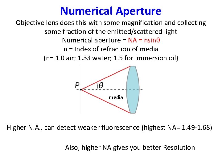 Numerical Aperture Objective lens does this with some magnification and collecting some fraction of