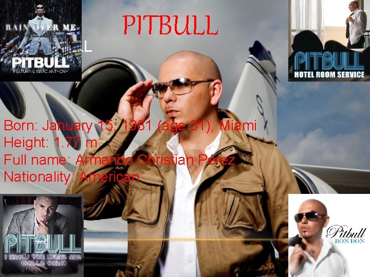 PITBULL Born: January 15, 1981 (age 31), Miami Height: 1. 77 m Full name: PITBULL Born: January 15, 1981 (age 31), Miami Height: 1. 77 m Full name: