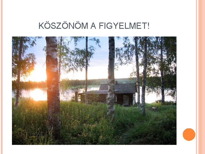 KÖSZÖNÖM A FIGYELMET! 