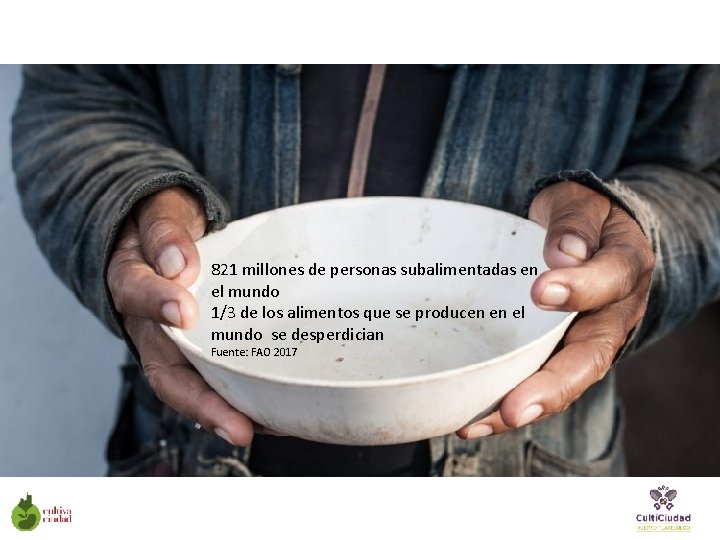 821 millones de personas subalimentadas en el mundo 1/3 de los alimentos que se