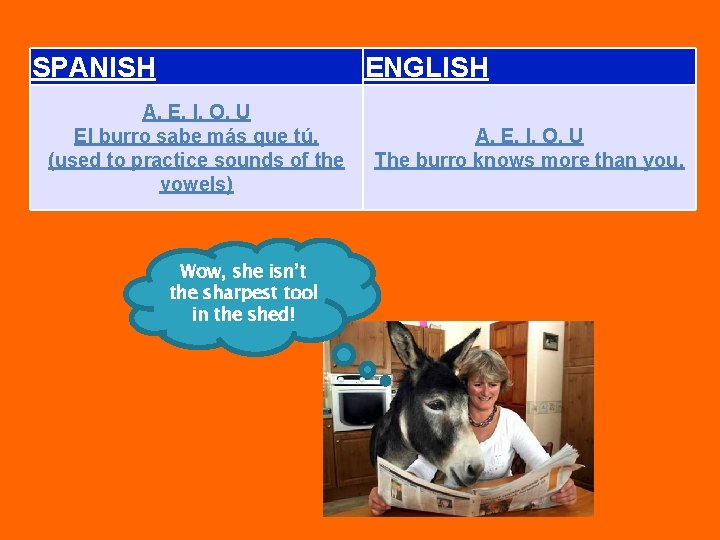 SPANISH ENGLISH A, E, I, O, U El burro sabe más que tú. (used