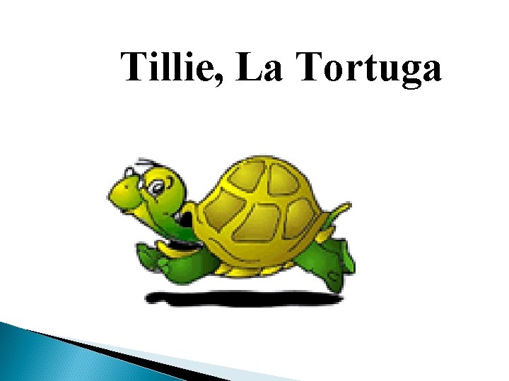 Tillie, La Tortuga 