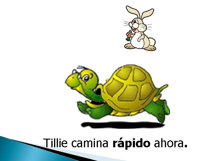 Tillie camina rápido ahora. 